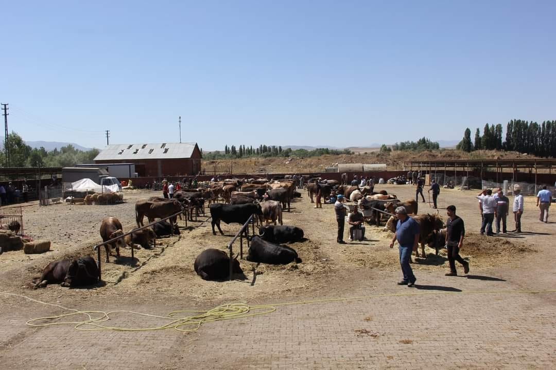 Ziraat Odası Başkanı'ndan hayvancılık kredilerine tepki