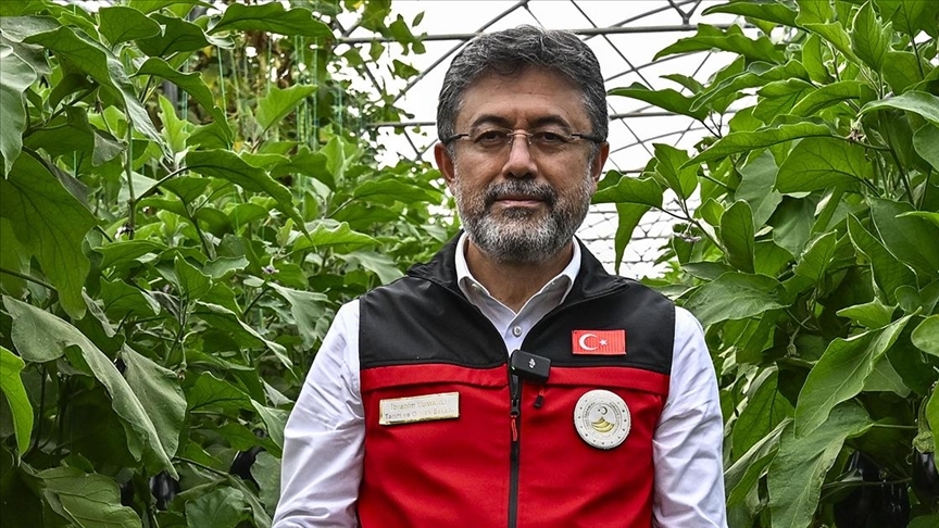 Sertifikalı tohum üretimi ve ihracatında yükseliş