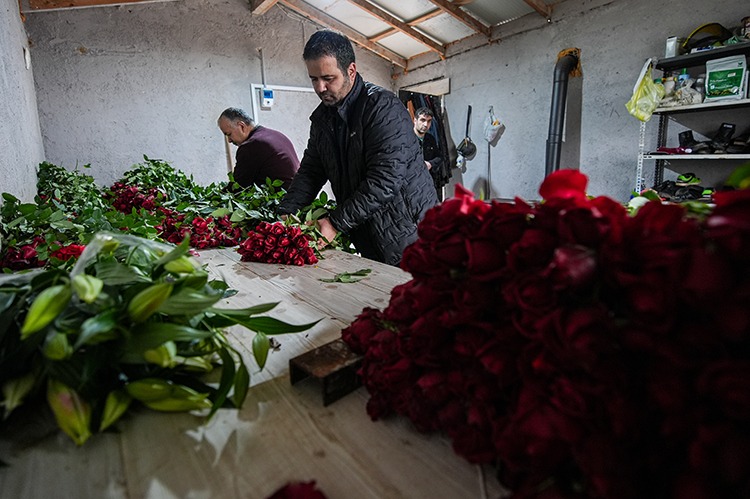 Seralarda Sevgililer Günü mesaisi