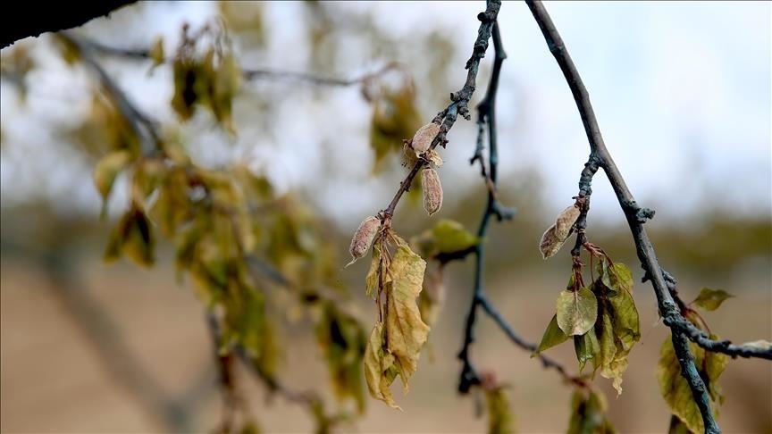 Üreticilere verilen destekler arttı