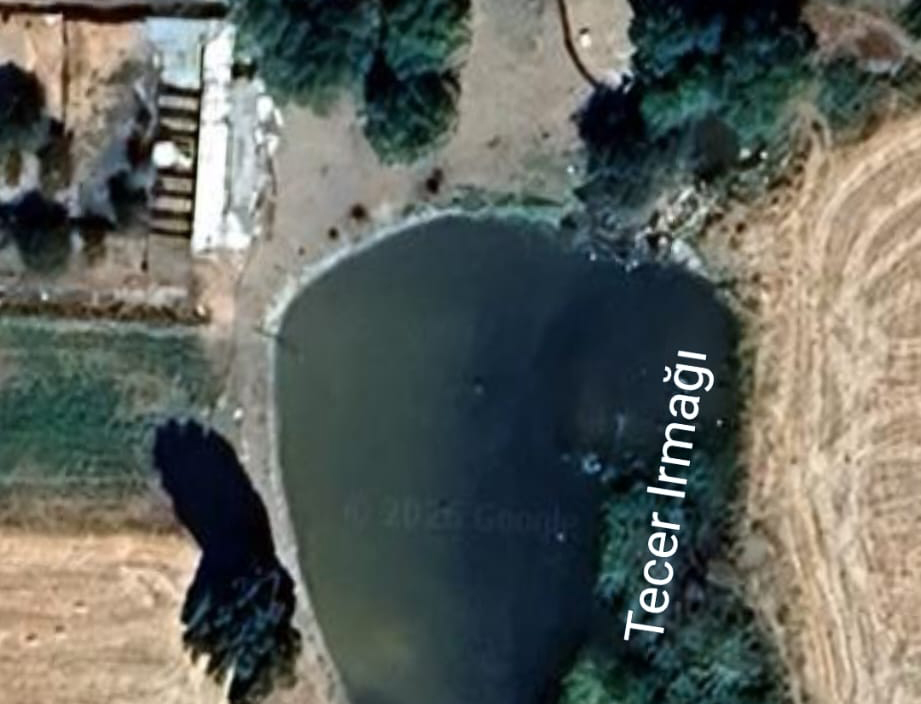 Tecer Irmağı’na yapılan set tehlike saçıyor