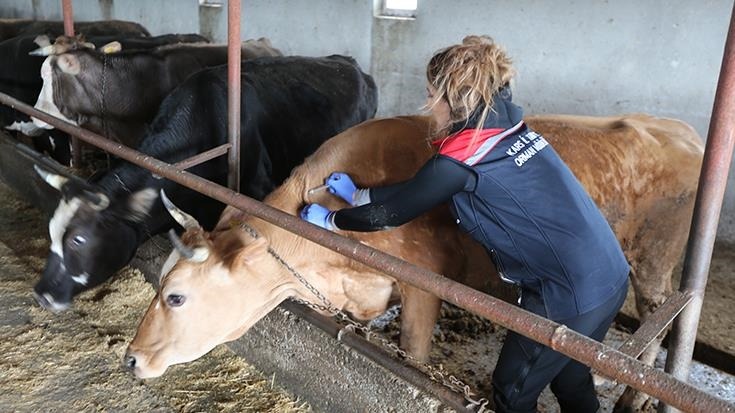 Hayvan sağlığı ve refahı uluslararası işbirlikleriyle korunacak