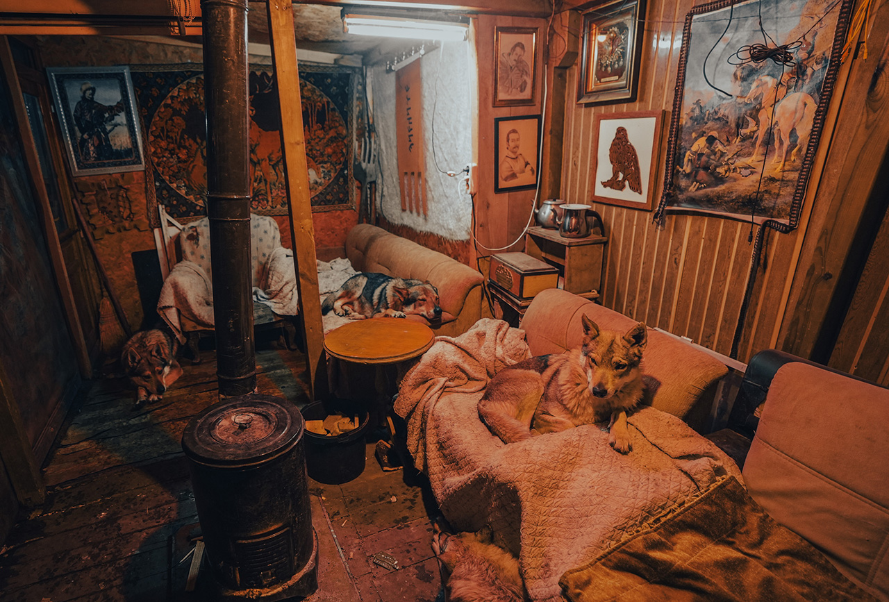 Sivas'ın bozkırında hayatını adadığı kurt köpekleri ve yırtıcı kuşlarıyla yaşıyor