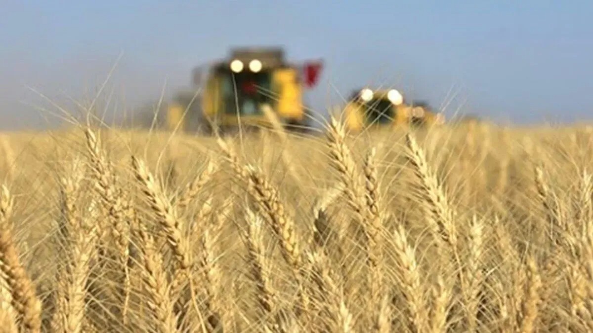 Tarımda maliyet baskısı sürüyor: Girdi fiyatları yıllık %33,15 yükseldi