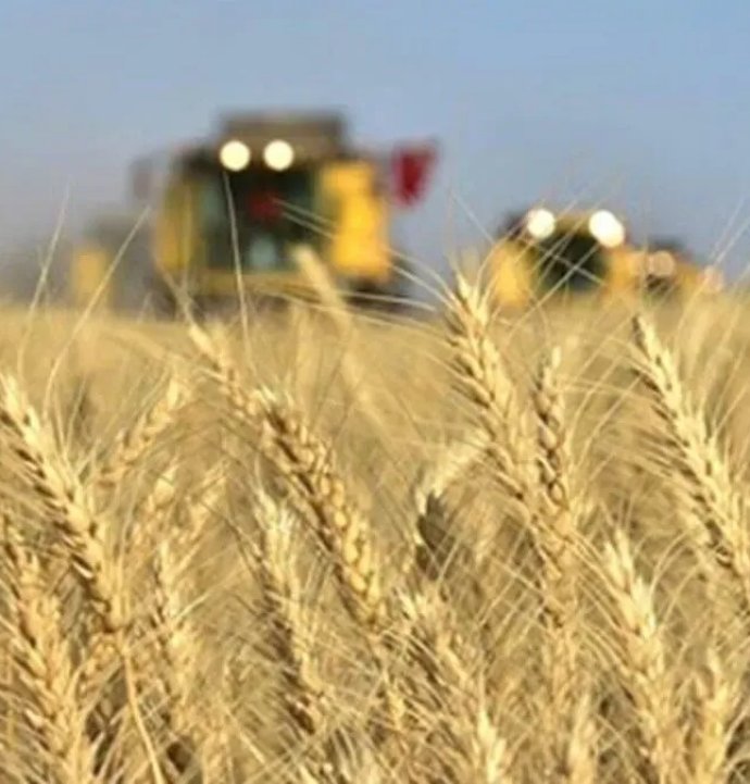 Tarımda maliyet baskısı sürüyor: Girdi fiyatları yıllık %33,15 yükseldi