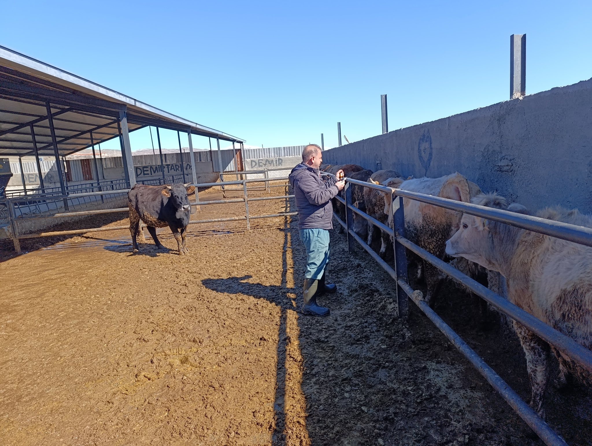 Sivas’ta baharla birlikte kritik süreç: Aşı çalışmaları hız kazandı