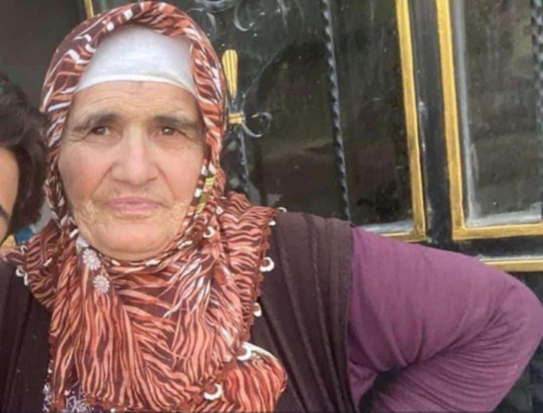 Sivas'ta kaybolan Mevlüde Arslan her yerde aranıyor