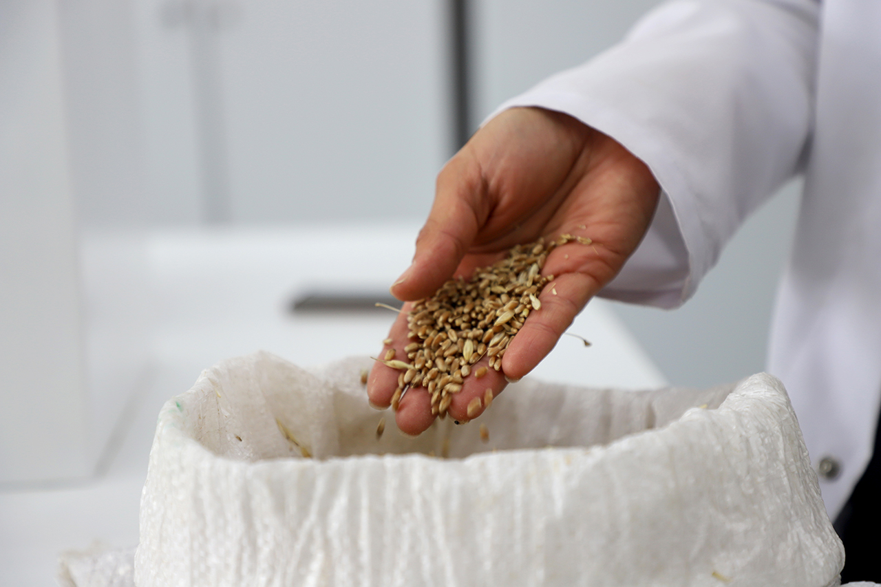 SBTÜ doktora öğrencisinden önemli araştırma