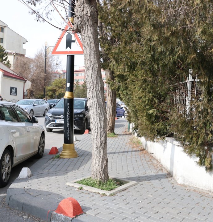 Sivas'ta tarihi bölge baştan şekilleniyor