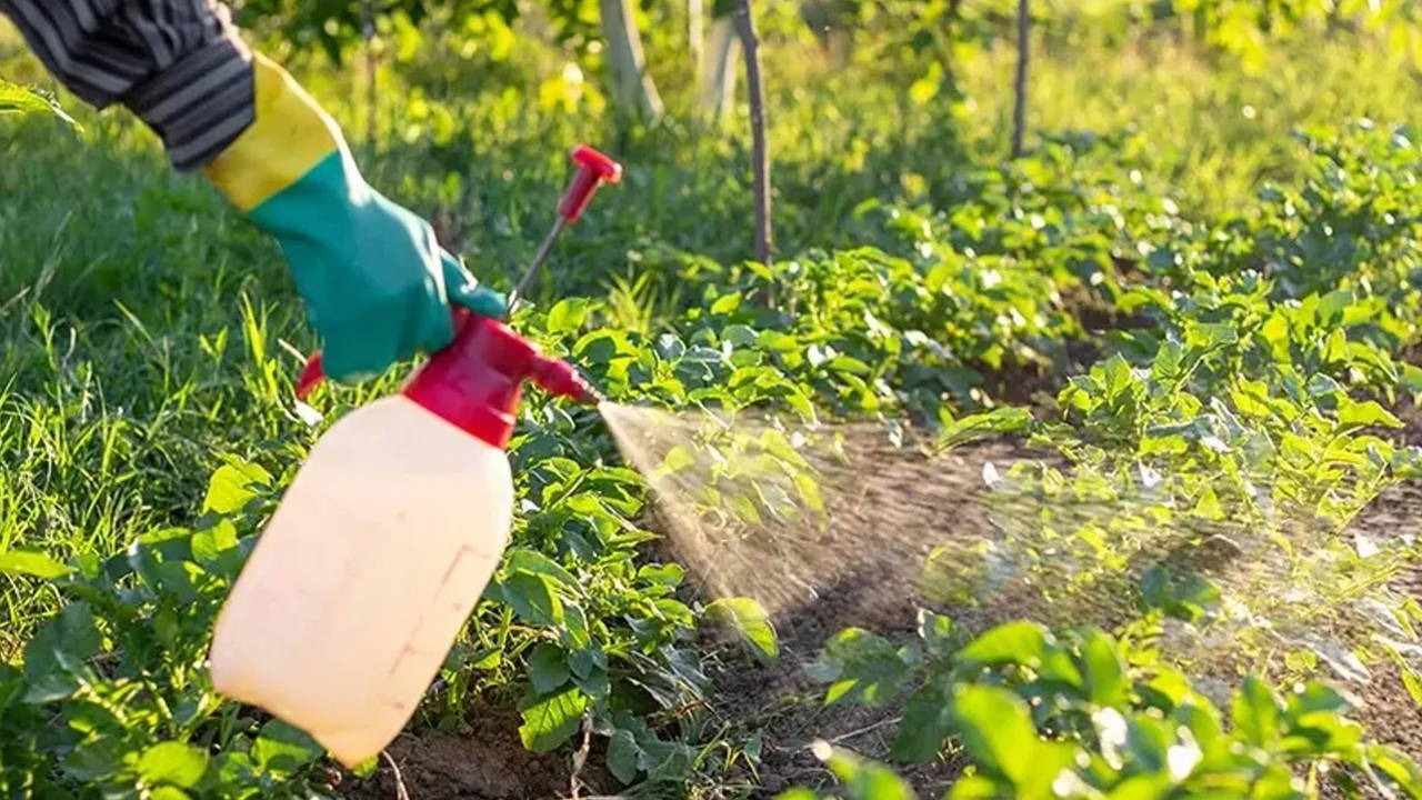 Zara Ziraat Odası Başkanı Şimşek uyardı: “E-Reçete olmadan ilaç alamayacaksınız!"