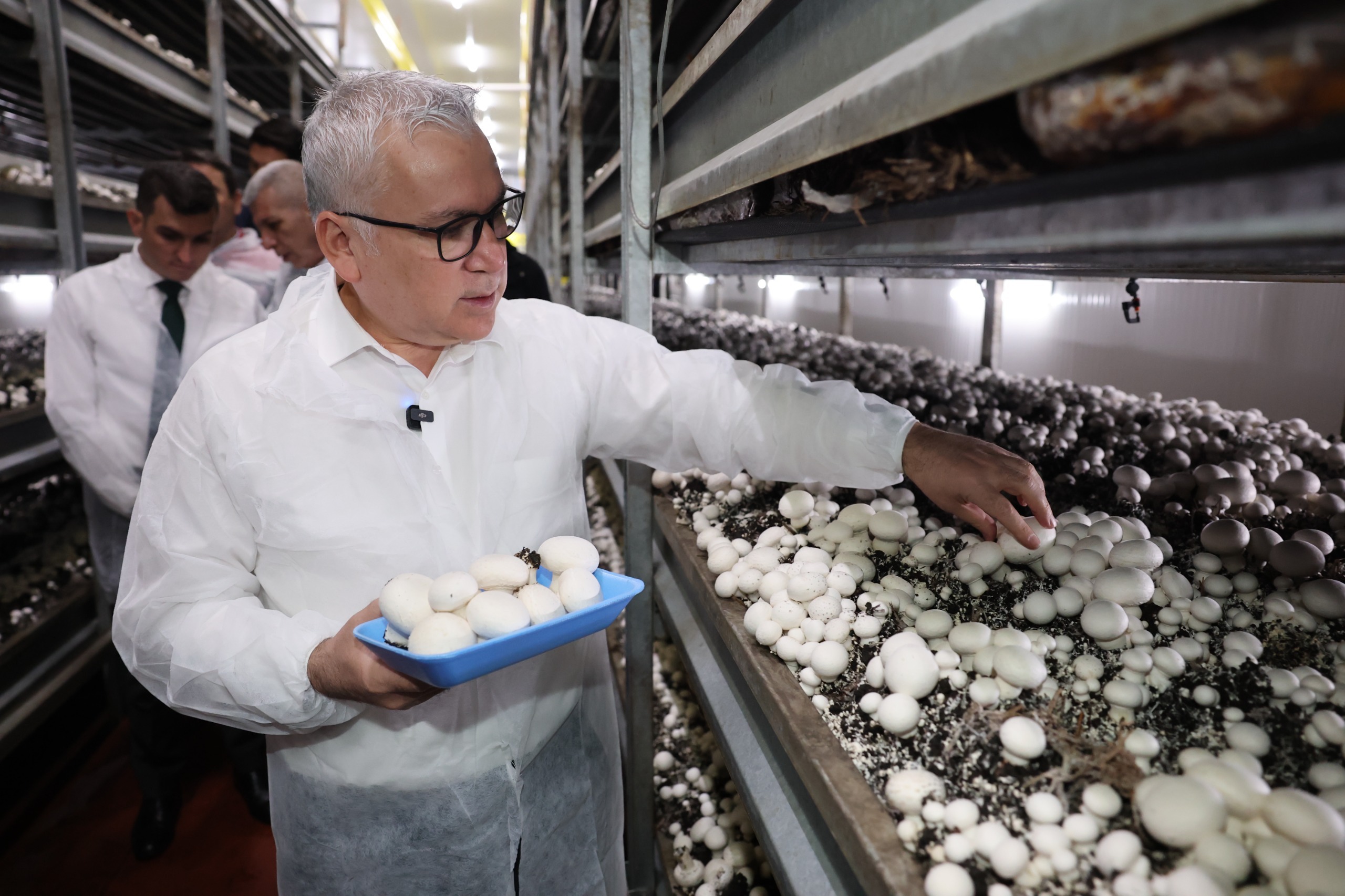 Sivas’ta mantar üretimi büyüyor, istihdam artıyor