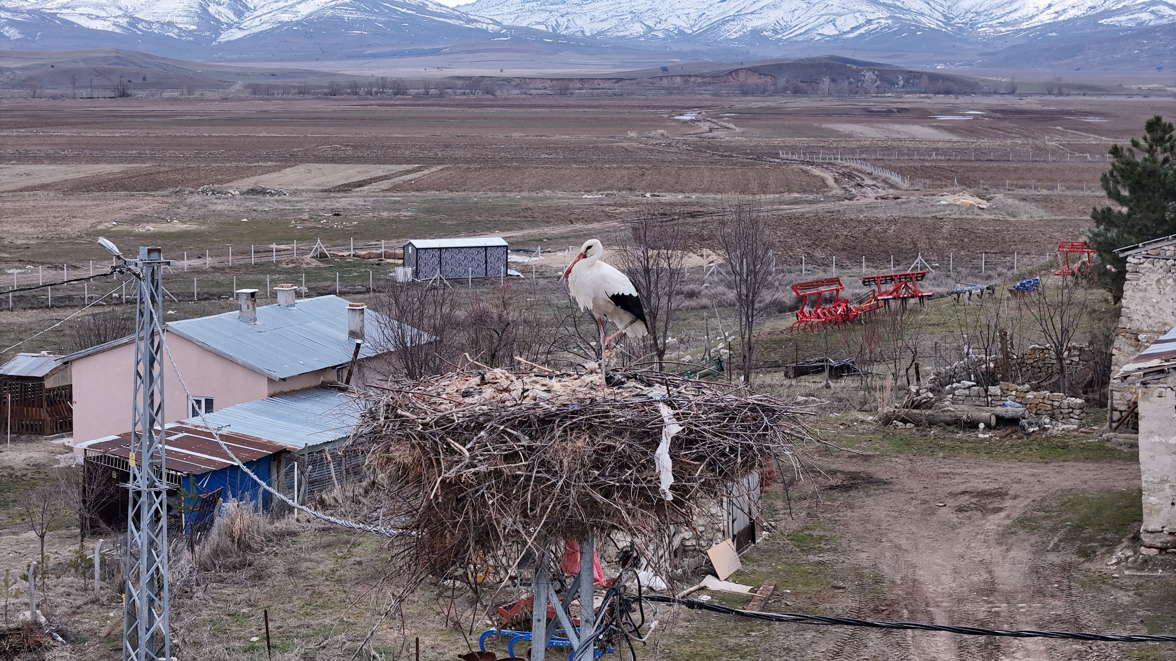 Sivas’ın Leylekli köyü misafirlerini ağırlıyor