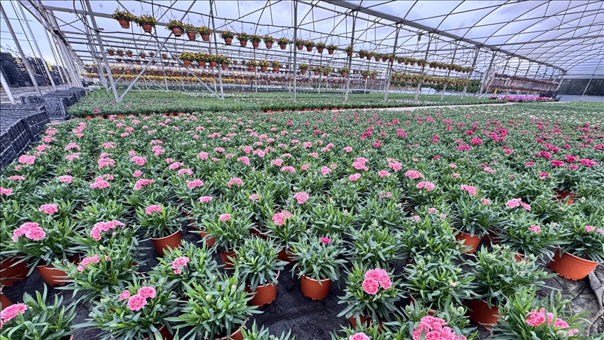 Kurakçıl peyzajda "sözleşmeli üretim modeli" talebi