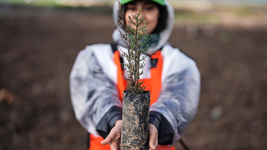 Kasıma kadar hedef 600 milyon fidana ulaşmak