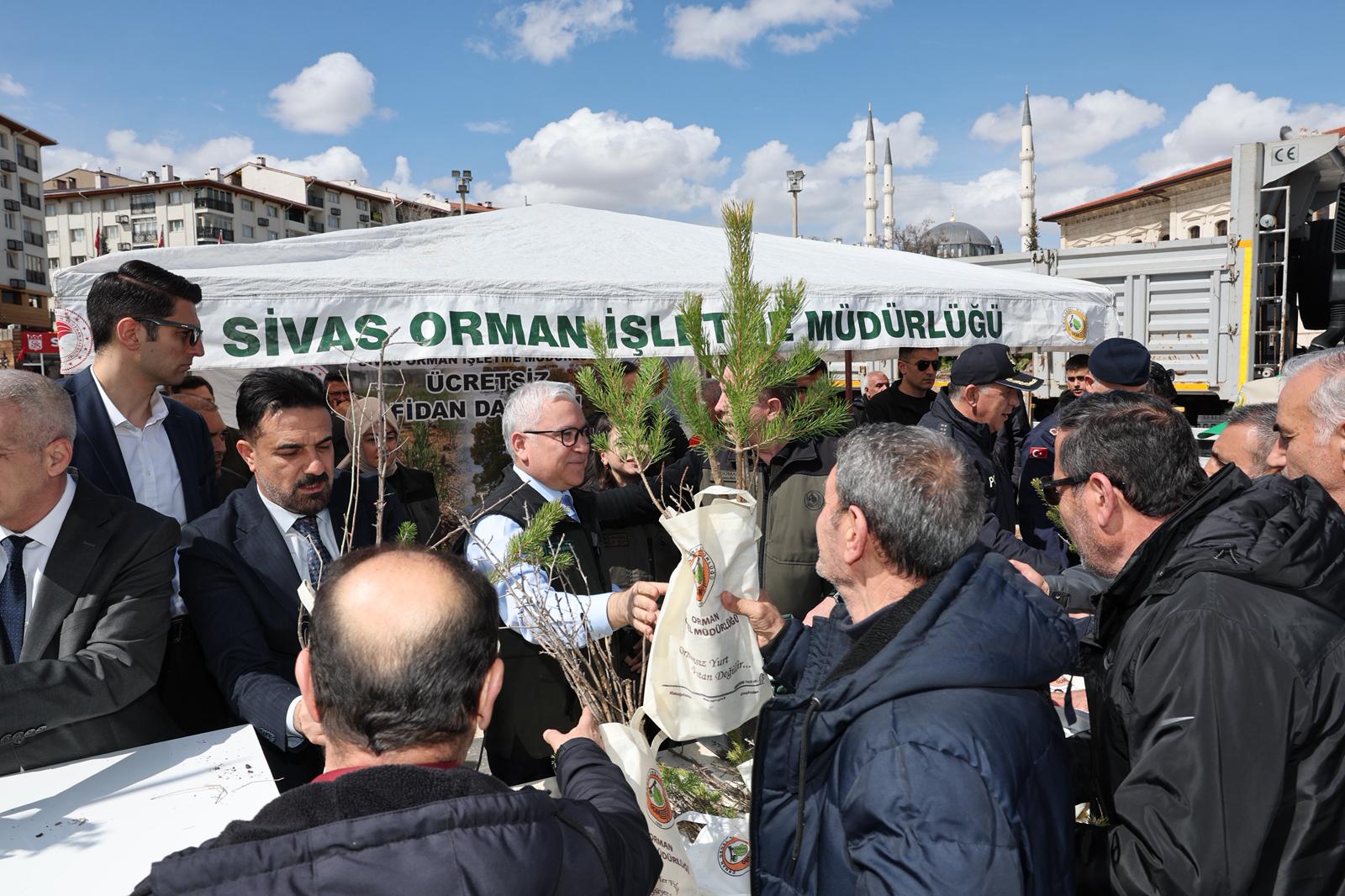 Daha yeşil bir Sivas için 20 bin fidan!