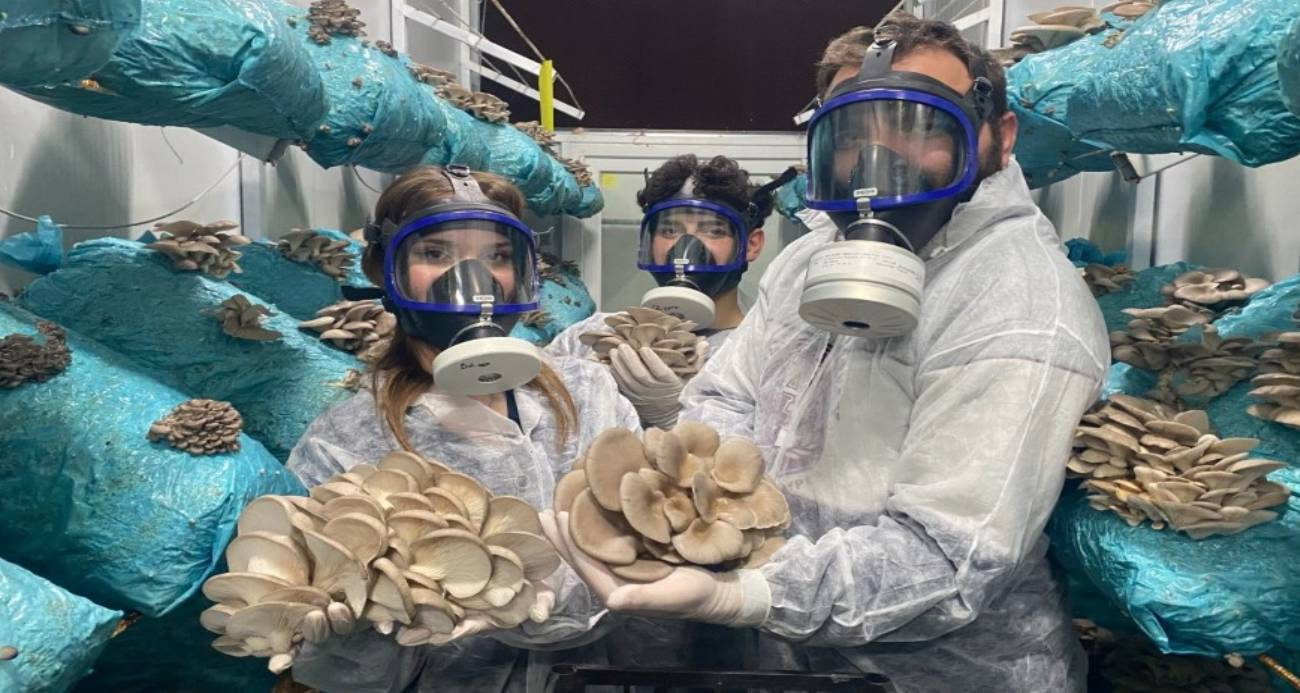 Hobi olarak başladı, günde 1 tona yakın hasat elde ediyor