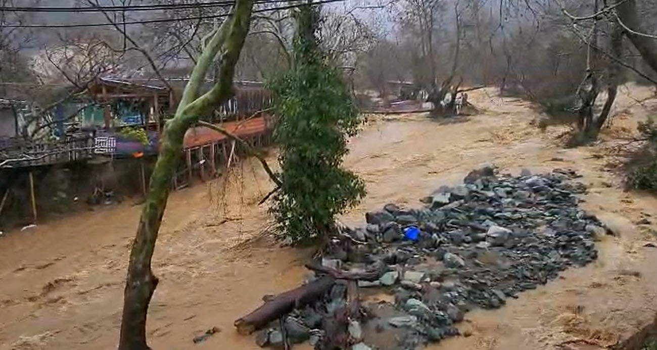 Yalova’da sel felaketi: 5 büyükbaş hayvan telef oldu