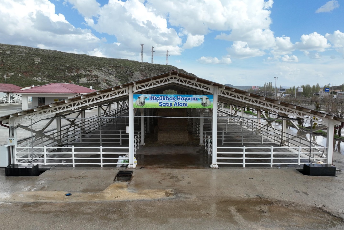 Sivas'ta kurban pazarı için hummalı hazırlık