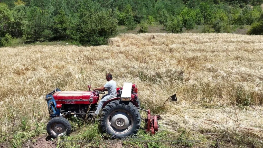 Zara’da çiftçilere müjde! O zorunluluk kalktı