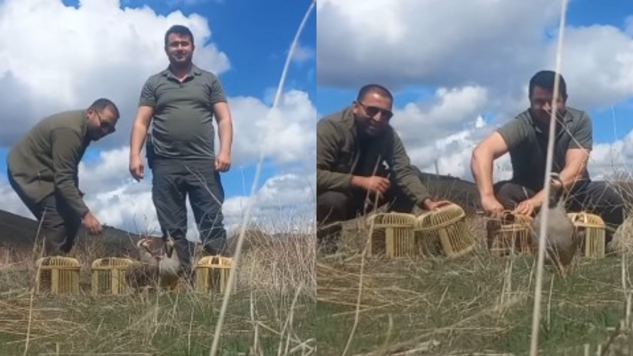 Sivas'ta kaçak avcılara suçüstü!