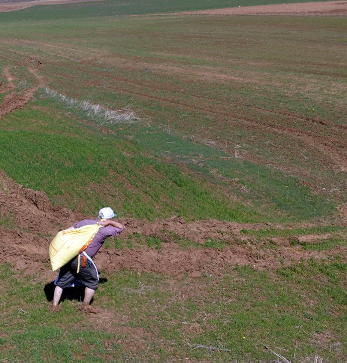 Hafik'te geçen yıllarda kuruyan Çekmegöl yeniden suyla doldu