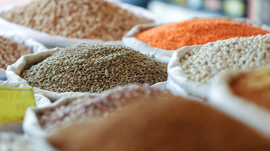 Hububatçılar umutlu...