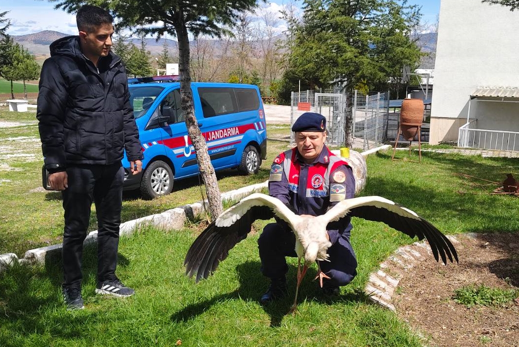 Yaralı halde bulunan leyleğe şefkat eli