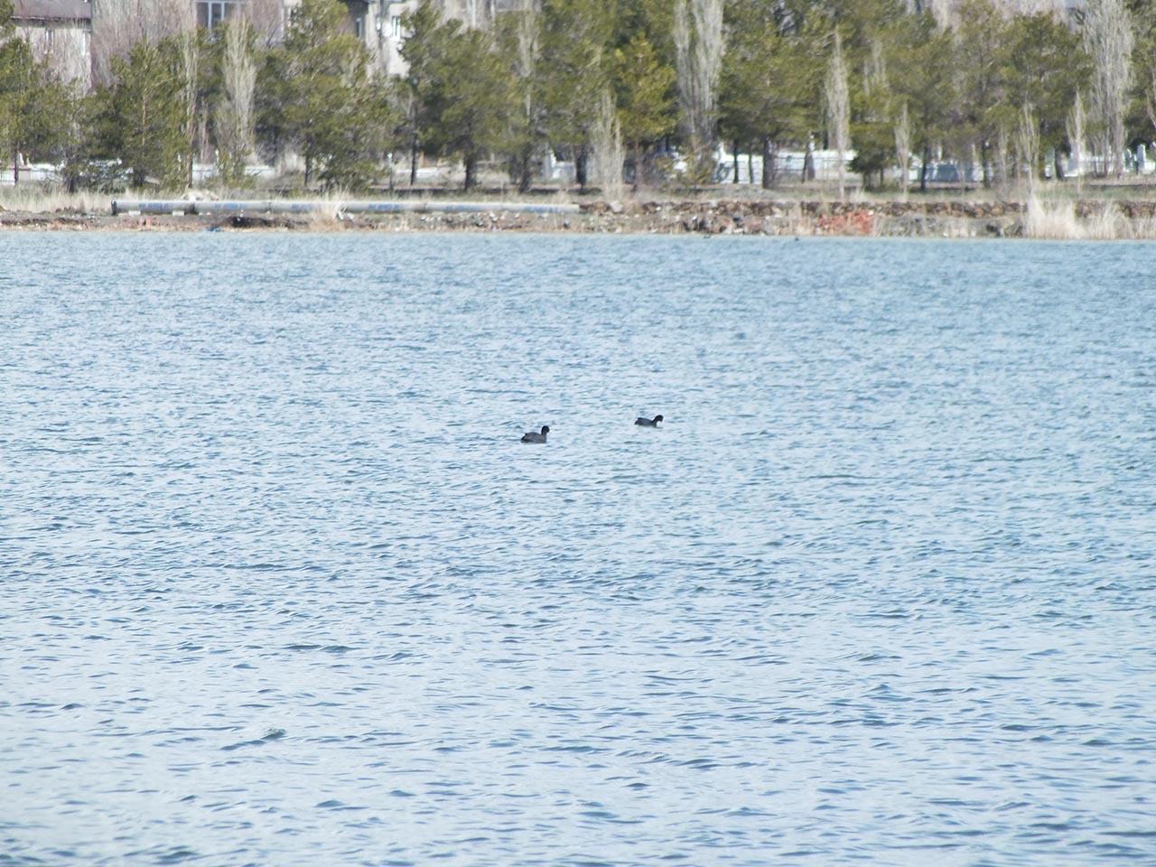 Ulaş Gölü'nde su seviyesi yükseldi