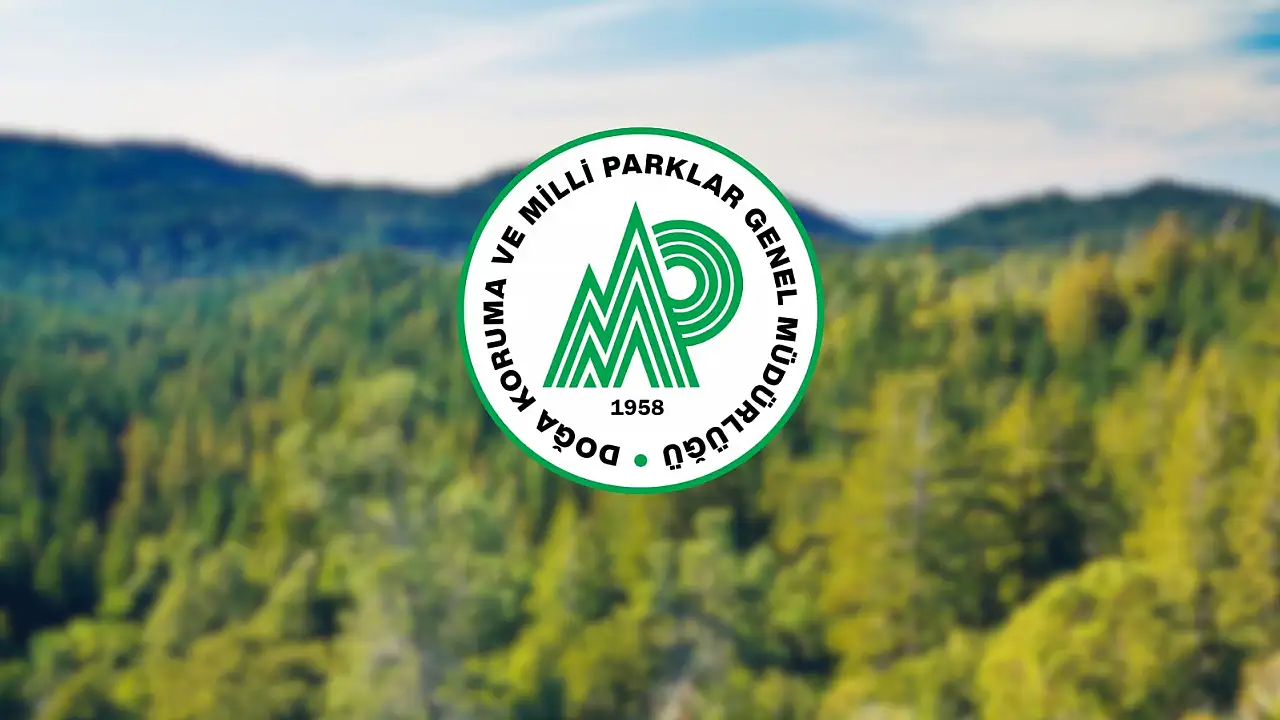 Sivas İçin "Bölge" Vakti