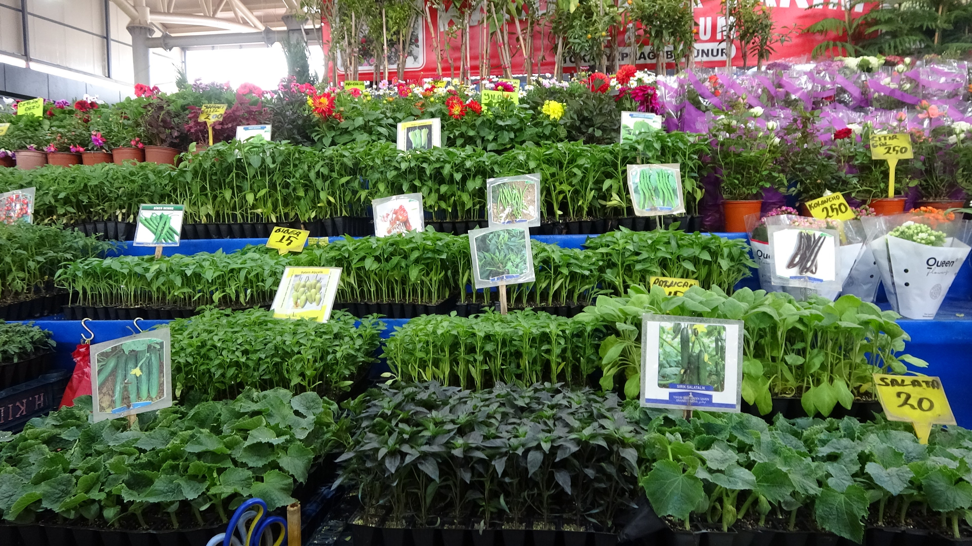 Pandemi ve deprem sonrası büyük değişim! Vatandaş toprağa yöneldi