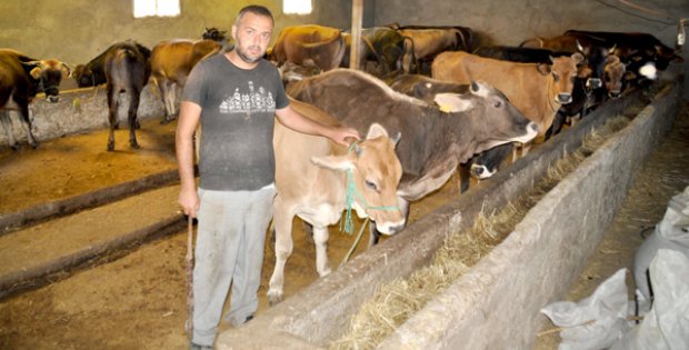 Kurban Pazarında Hareketlilik Başladı