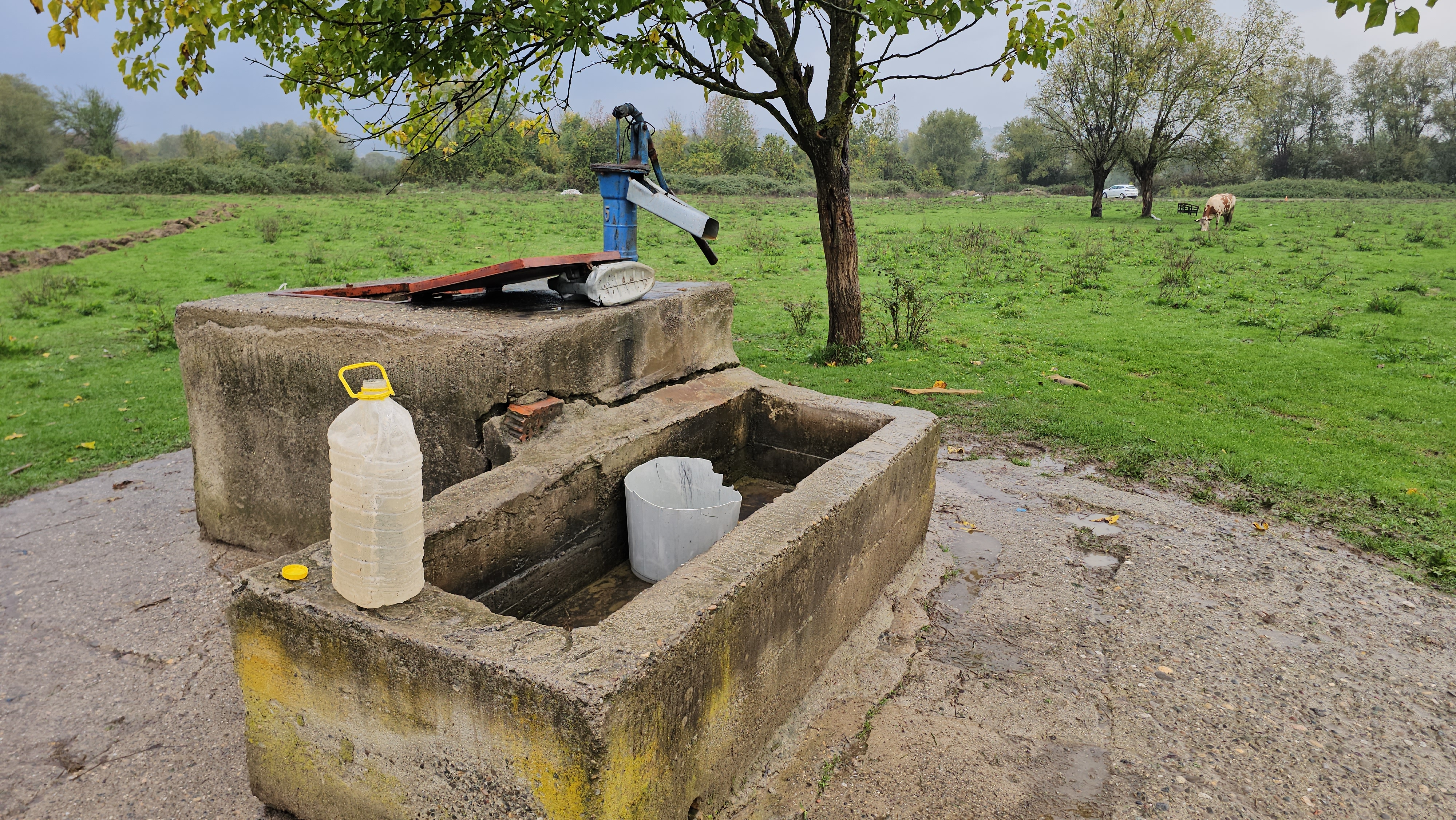 Kuyuda cesedi bulunmuştu... İstenen ceza belli oldu!