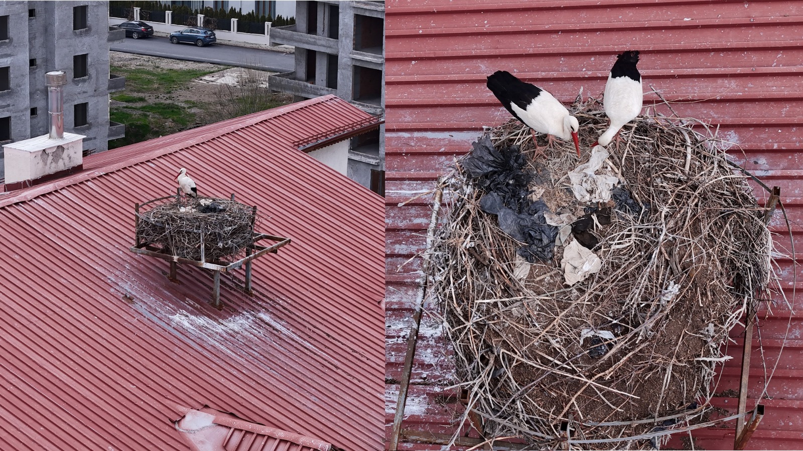 Sivas’ta baharın müjdecisi geldi! Öğrenciler sevinçten uçtu