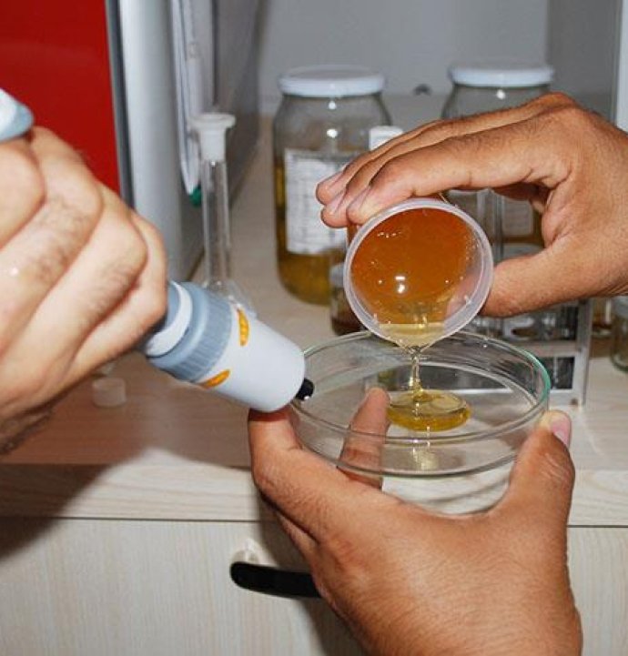 Taklit tağşiş fiyat listesi güncellendi