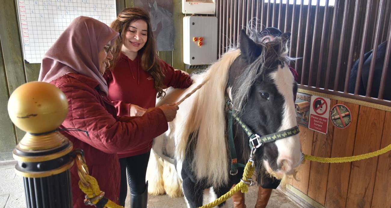 Yaşlılar için atla terapi dönemi başladı