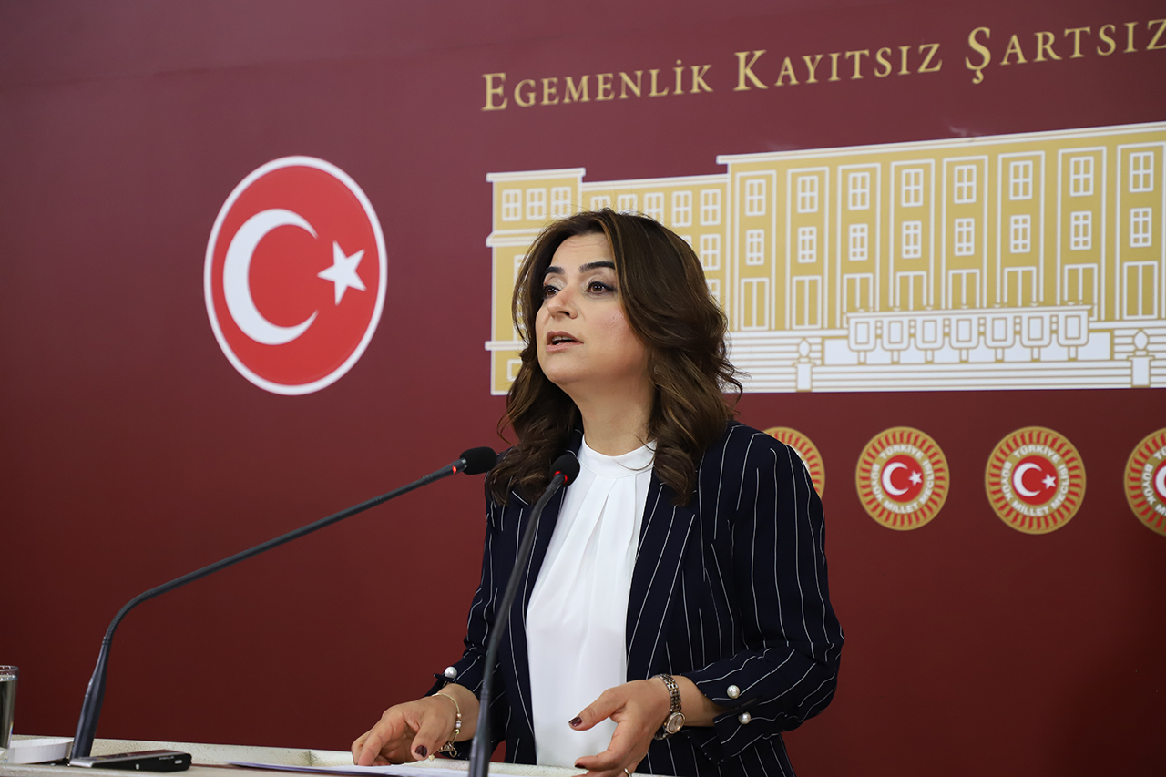 DEM Parti'li Koçyiğit: Sürecin geciktirilmesini doğru bulmuyoruz