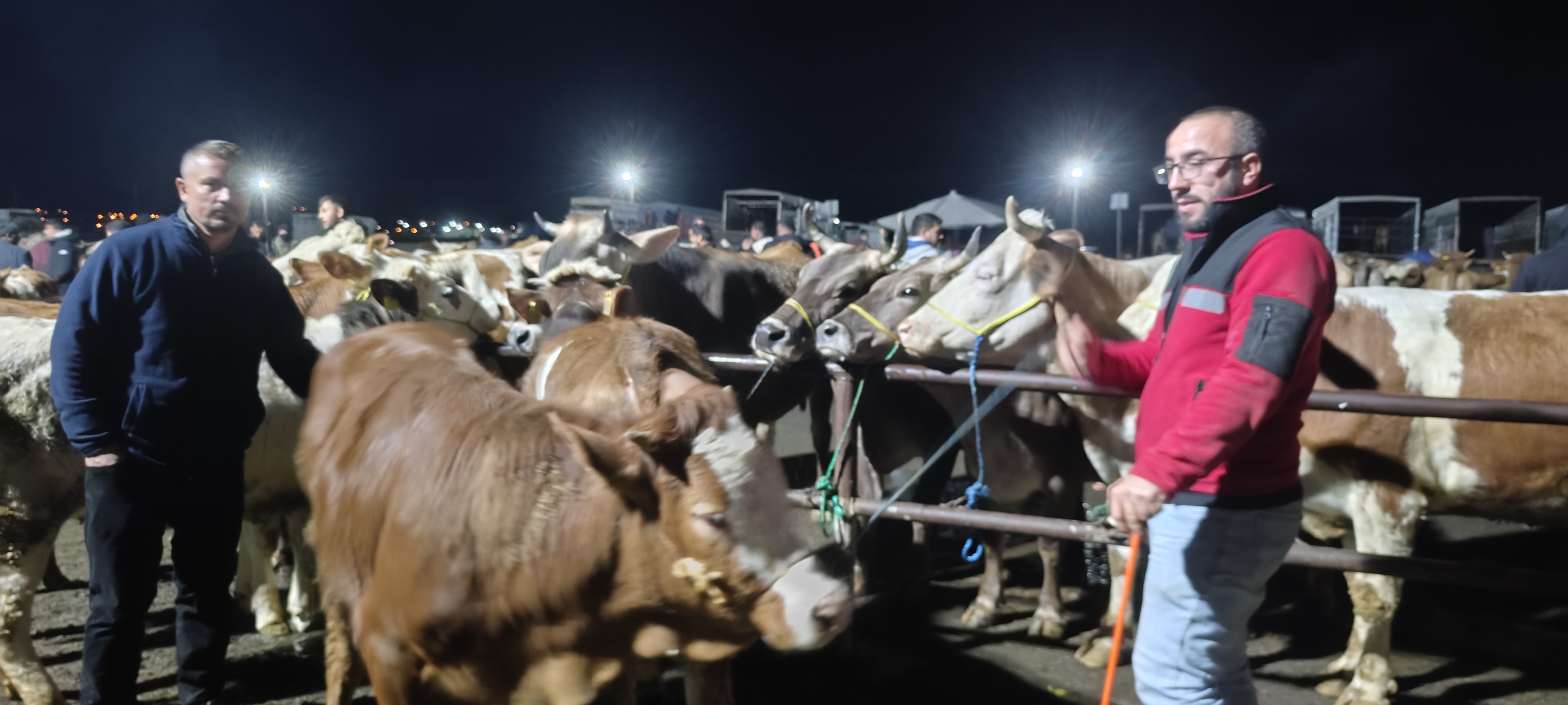 Sivas'ta kurban pazarı hareketlendi! Geceye kadar pazarlık