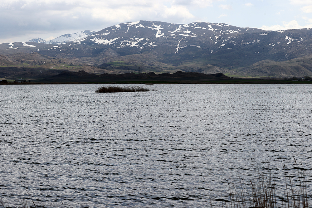 Ulaş Gölü'nde sevindiren gelişme...