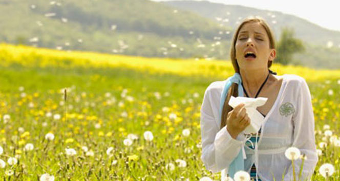 Polen alerjisi bu yolla korunabilirsiniz...