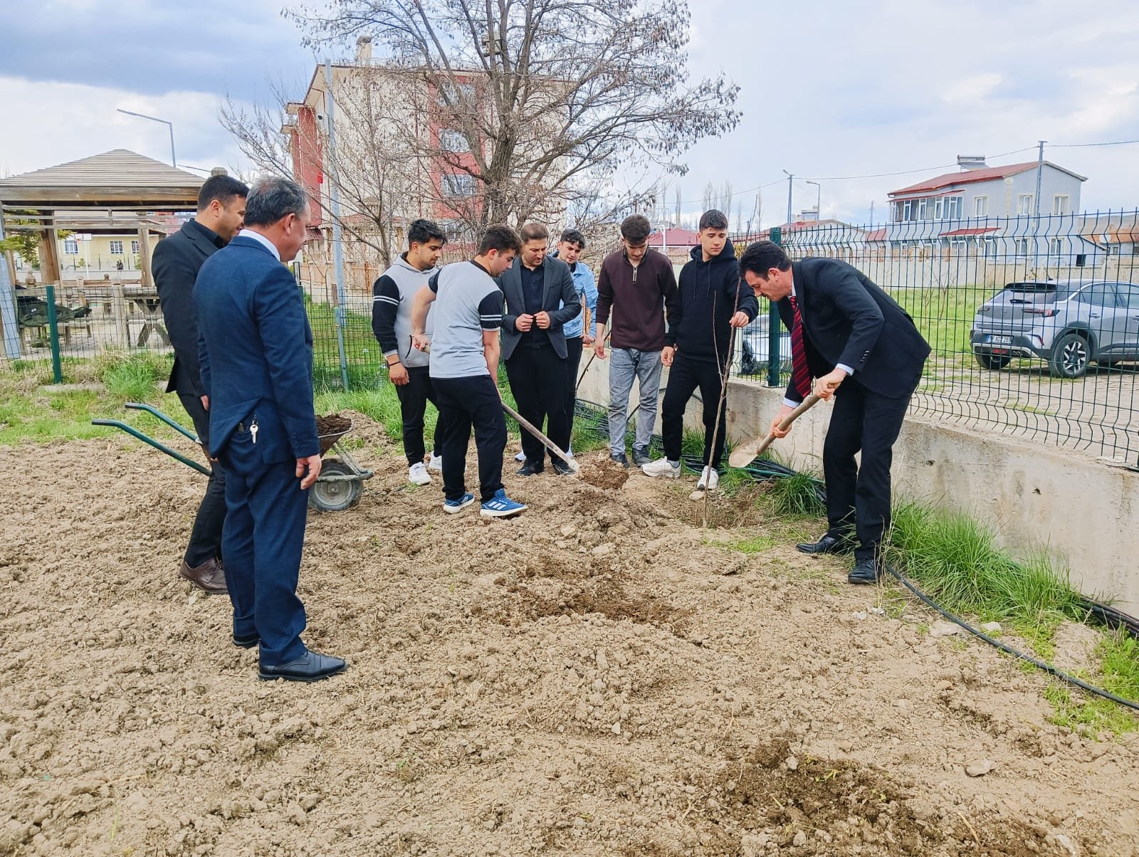 Ulaş'ta öğrenciler okul bahçesine meyve fidanı dikti