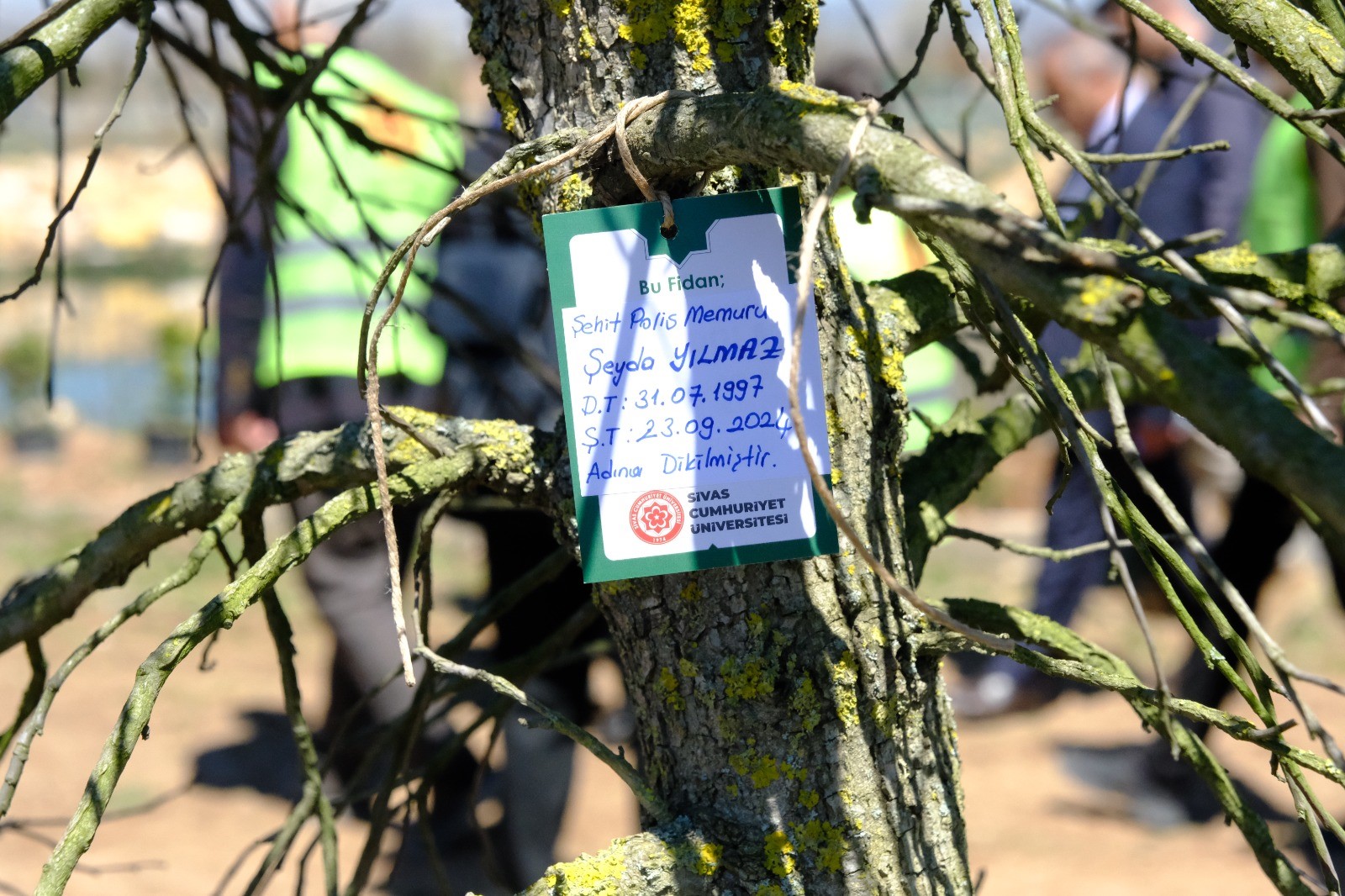 Sivas'ta fidanlar şehitlerin isimleriyle toprakla buluştu