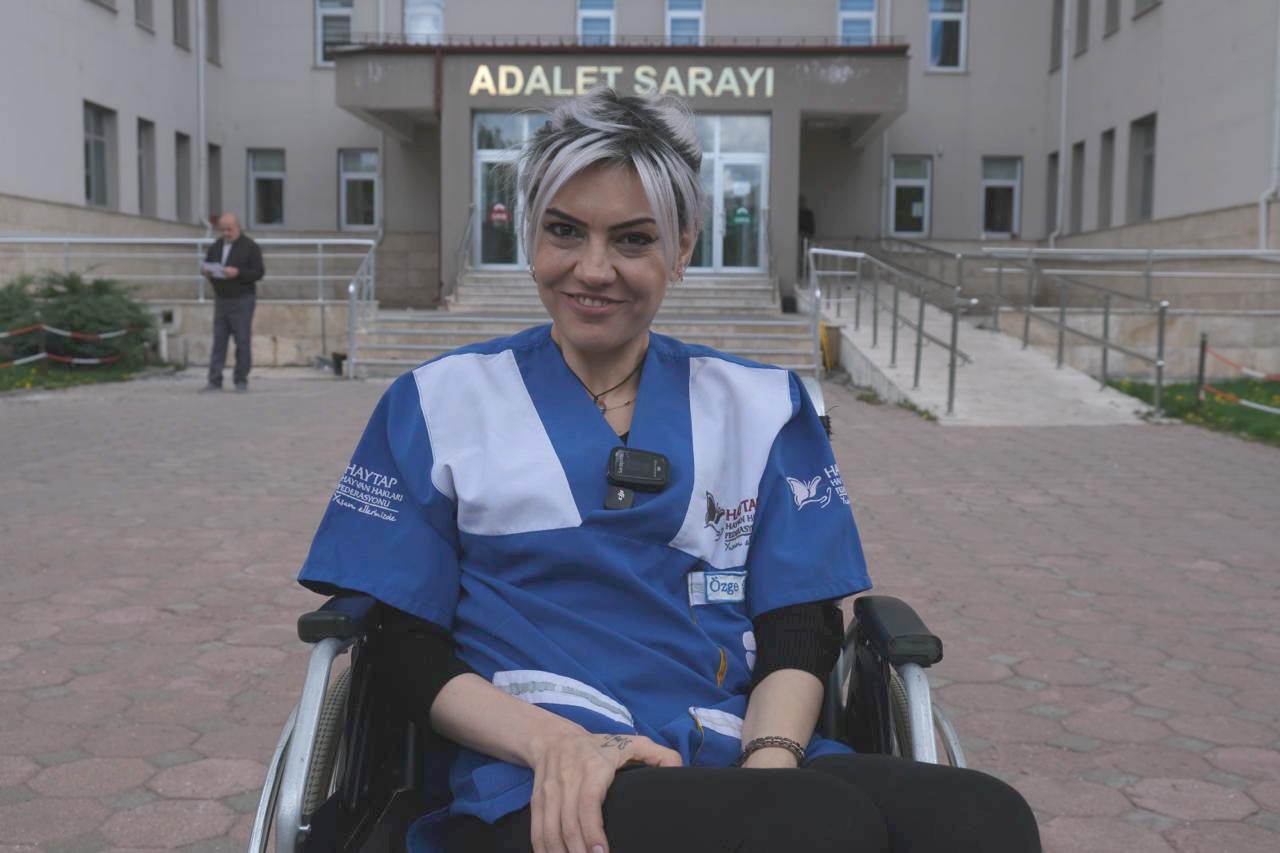 Sivas’ta sokak hayvanları için hukuk mücadelesi başladı