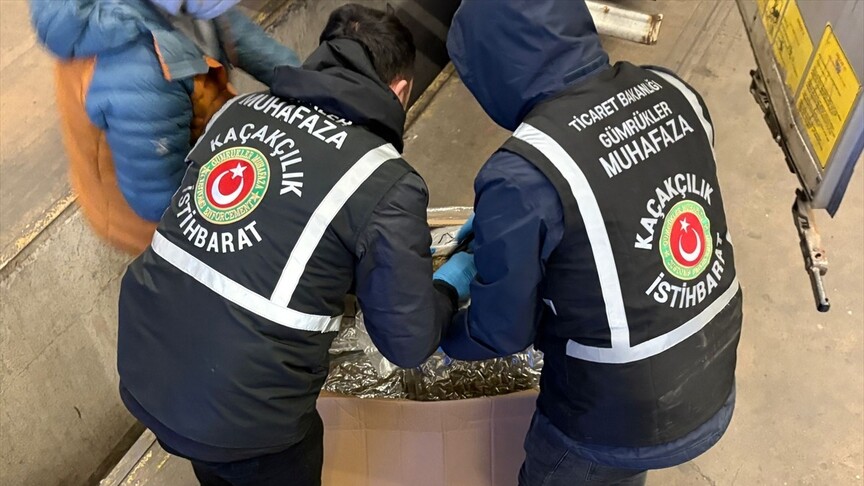 Gümrük'te 659 kilogram uyuşturucu ele geçirdi