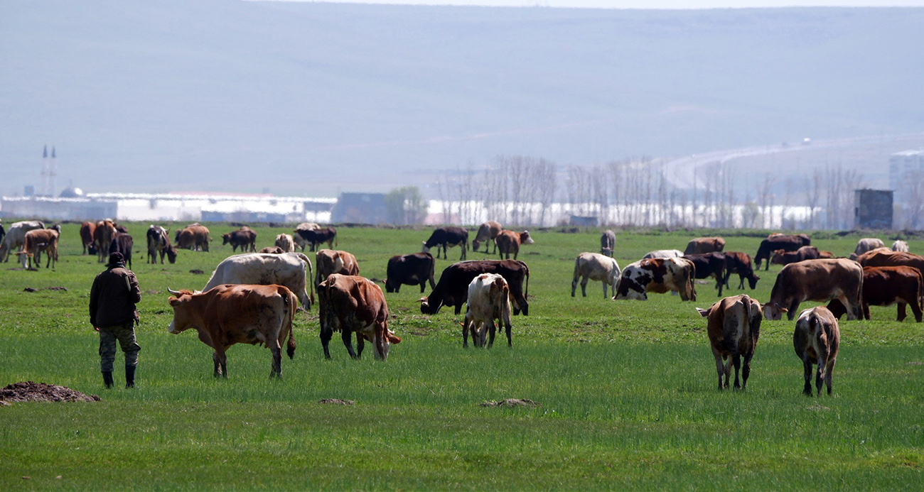 Kurban satışlarında sosyal medya tuzağı
