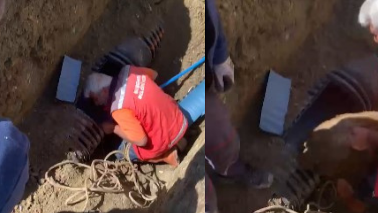 Sivas'ta su kanalında mahsur kalan koyun kurtarıldı