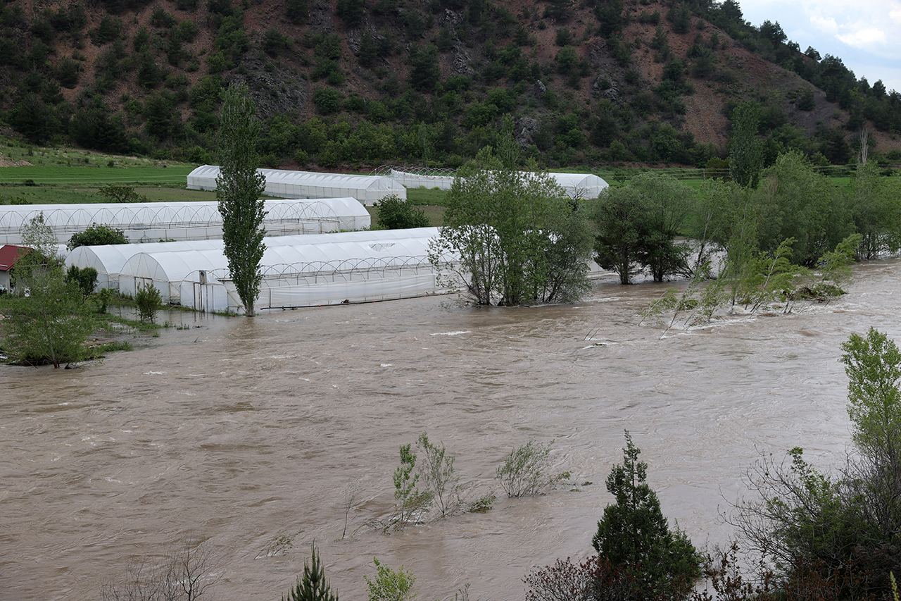 Sivas'ta Kelkit Nehri'nin taşmasıyla bazı seralar su altında kaldı
