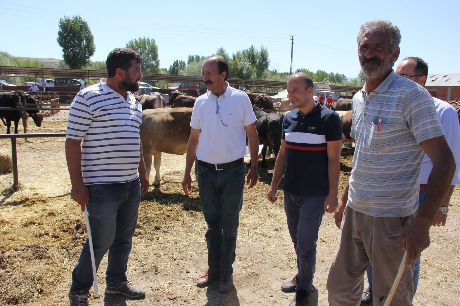 Zara Ziraat Odası Başkanı Zeki Şimşek’ten kurbanlık çağrısı: "Bağış yerine yerel üreticiye omuz verelim"