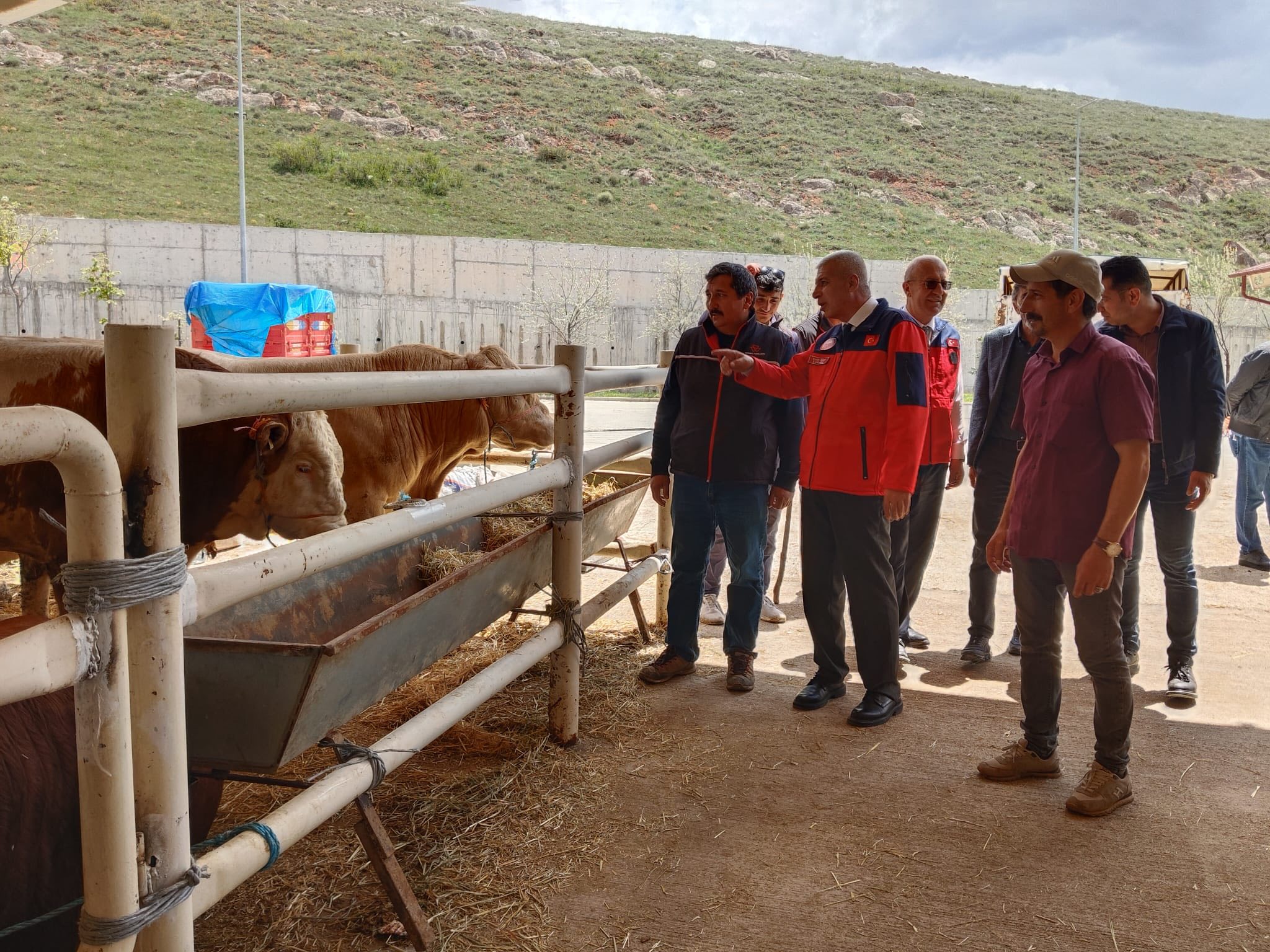Sivas'ta kurban pazarında tedbirler en üst seviyede