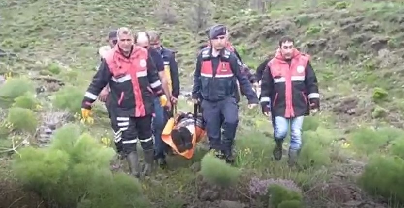 Sivas'ta  korku dolu anlar: Mantar toplarken ayı saldırısına uğradı!