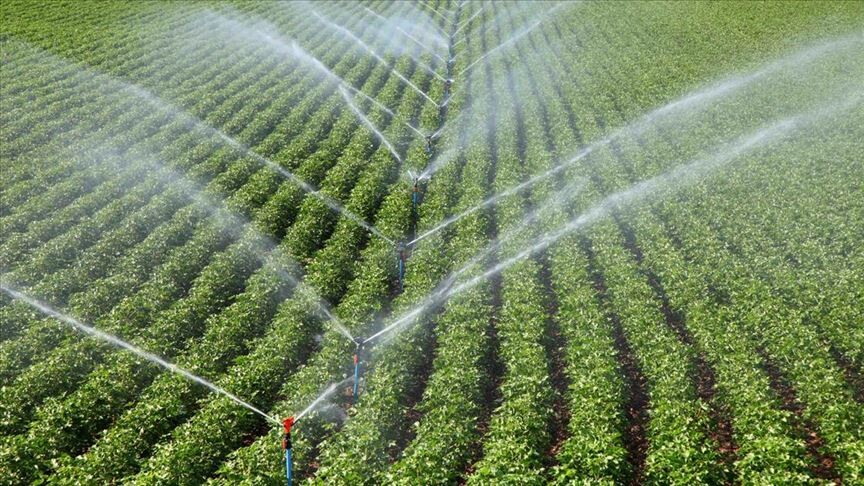 Yeni sulamaya açılan alanlarla 12 milyar liralık katkı
